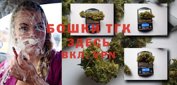 МДПВ Медногорск