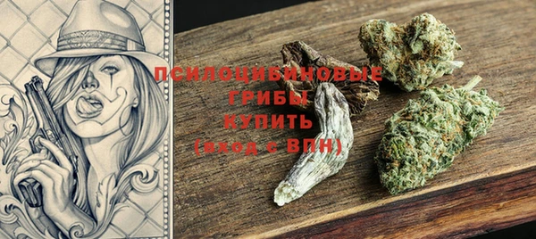 МДПВ Медногорск