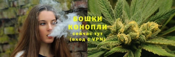 МДПВ Медногорск