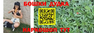 PSILOCYBIN Балахна