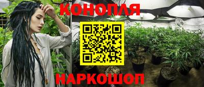 прущая мука Будённовск