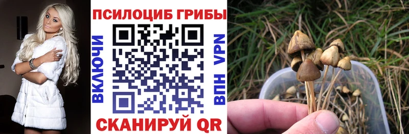 Псилоцибиновые грибы Cubensis  Куйбышев 