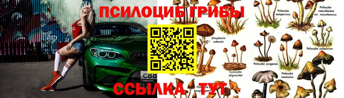 Галлюциногенные грибы мухоморы Куйбышев