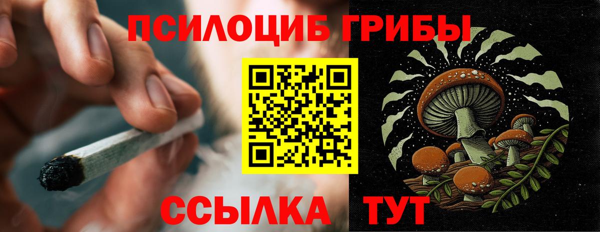 Псилоцибиновые грибы Psilocybine cubensis  Куйбышев  Галлюциногенные грибы прущие грибы 