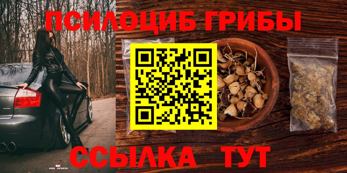 Галлюциногенные грибы Psilocybine cubensis Куйбышев